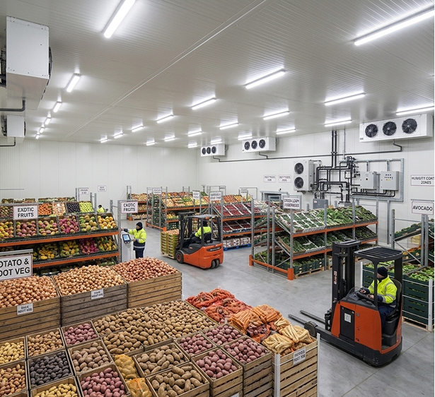 Fruits & Vegetables Cold Storage